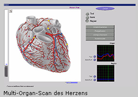 Multi_Organ_Scan_Herz_Ellen_Krause