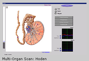 Vorsorge_Prostata_Ellen_Krause